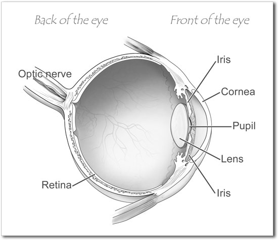 back of the eye disease and treatment